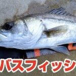 東京の中川・荒川でシーバスフィッシング！フッコ・セイゴシーバスにカマスも – Sea Bass Lure Fishing in TOKYO JAPAN