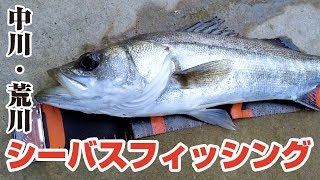 東京の中川・荒川でシーバスフィッシング！フッコ・セイゴシーバスにカマスも – Sea Bass Lure Fishing in TOKYO JAPAN