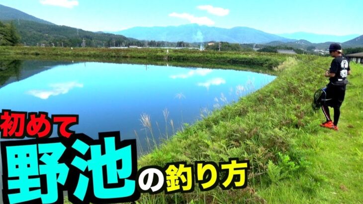 どうしたら釣れるのか？初めての野池でブラックバスを釣る方法を検証しましょう！