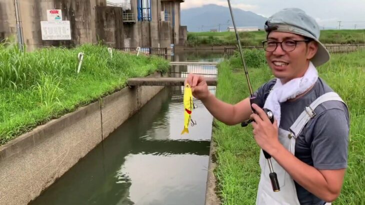 自作ルアー ビッグベイト 実釣編 バス釣り 遠賀川