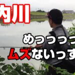 【バス釣り 庄内川 愛知】庄内川にバスはいない。と、思うほど難しかった・・。