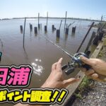 メジャー P 調査！霞水系 与田浦！ ブラックバス釣り