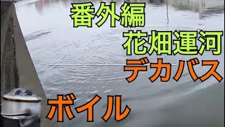 花畑運河のボイル発生 ブラックバス釣り