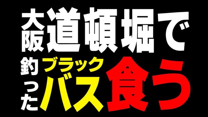 【バス釣り】道頓堀で釣ったブラックバスを食った結果・・・