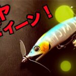 最新バス釣りルアーの値段と性能が釣り合わない！コスパ最高！