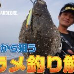 サーフから狙うヒラメの釣り方解説(930)