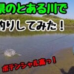 宮崎県のとある川でバス釣りしてみた！