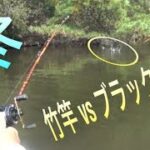 竹竿自作ルアーロッドvsブラックバス|釣り|Homemade Bamboo Bass Rod Fishing Challenge|②竹竿|ウッドスピンテールジグ|ダイワリール ミリオネアST10AC|