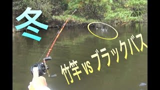 竹竿自作ルアーロッドvsブラックバス|釣り|Homemade Bamboo Bass Rod Fishing Challenge|②竹竿|ウッドスピンテールジグ|ダイワリール ミリオネアST10AC|