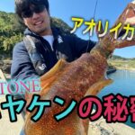 【アオリイカ】超イカ釣り師ハヤケンの秘密！？釣ったイカでBBQ！陸っぱりエギング後編！！【エギング】