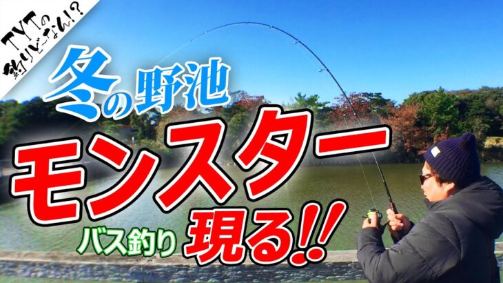 【バス釣り】圧倒的！PEスピニングタックルによるパワーフィネスの強さ