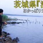 シーバスの聖地『茨城県、涸沼（ひぬま）』で釣りをしてみた！！！