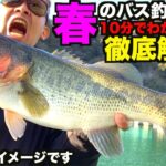 【バス釣り】10分で解る！春のバス釣りってどうやるのアニメで解説します！