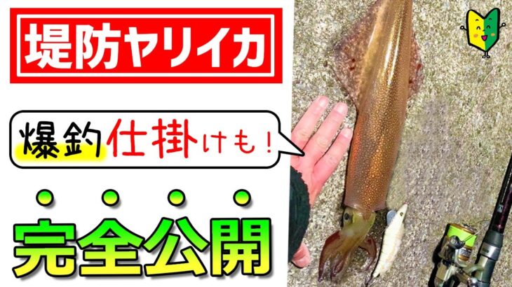 【堤防ヤリイカ】名人2人と三浦半島ヤリイカ釣り｜ウキ釣り仕掛けも細かく解説！