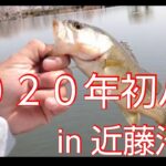 【バス釣り】【近藤沼】  2020年初バスゲットはやっぱりあのルアーでした