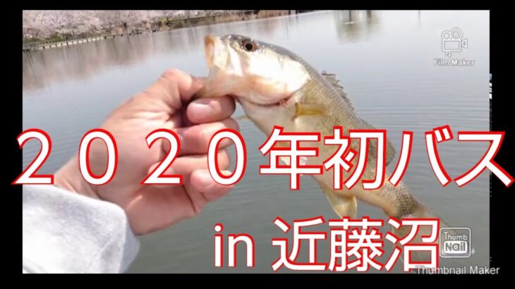 【バス釣り】【近藤沼】  2020年初バスゲットはやっぱりあのルアーでした