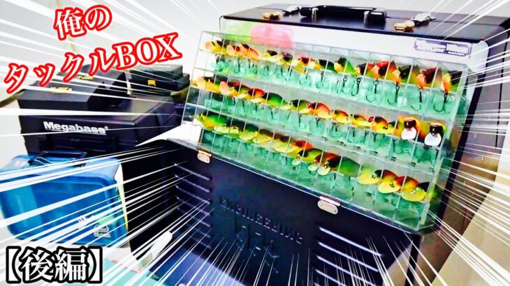 BOSSのタックルBOXを全て紹介！[後編]プレゼントあります【バス釣り】