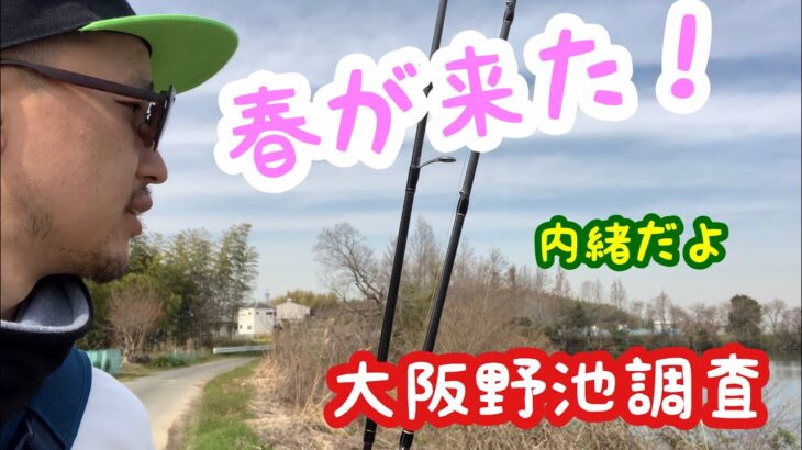 春のバス釣り野池調査！大阪編！