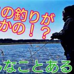 【バス釣り】ブラックバス　春バス効果ルアー＆タックル紹介