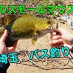 【バス釣り】早春のブラックバス！川スモールはこれで釣れた！