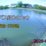 【釣場お散歩】#7, ブラックバス釣りのメッカ・天神池公園（群馬県板倉町）2020年 4月 19日 [Fishing ground walk] black bass fishing