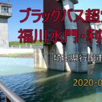 【釣場お散歩】#8, ブラックバス釣りの超穴場・福川水門・利根川上流（埼玉県熊谷市）2020年 4月 25日 [Fishing ground walk] black bass fishing