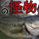 【バス釣り男】新商品のルアーで手が震えるほどのブラックバスが釣れた【Bass fishing】