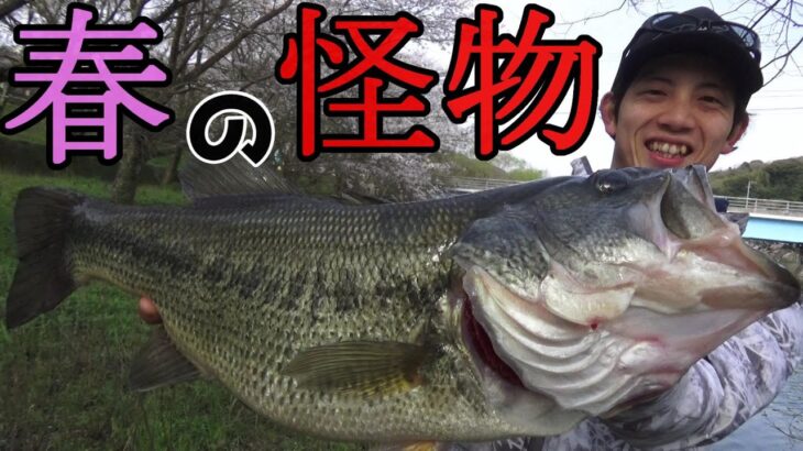 【バス釣り男】新商品のルアーで手が震えるほどのブラックバスが釣れた【Bass fishing】