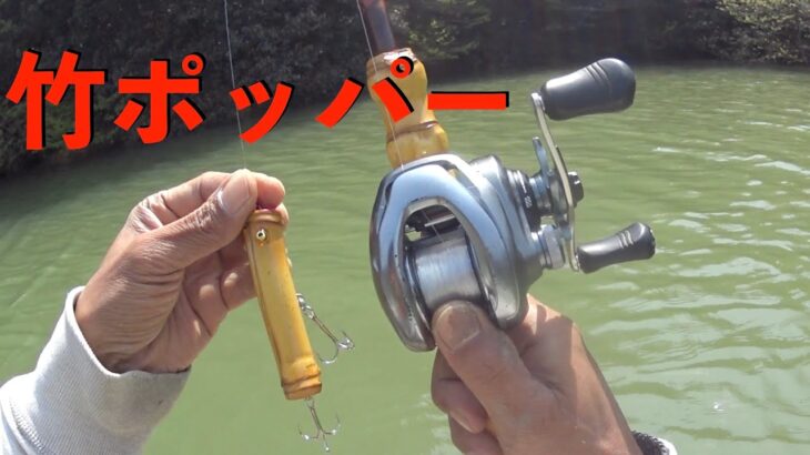 バス釣り 春|トップウォーター|自作ルアー|竹ポッパー|Homemade Bamboo Lure |自作バンブーロッド|シマノ メタニウムDC|フローター|釣りひろ坊Hirobou Fishing|