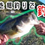 ルアーが駄目なら餌でバスを釣る！