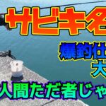 横に来た名人がいきなり爆釣だったので仕掛けを見せてもらった【サビキ釣り】