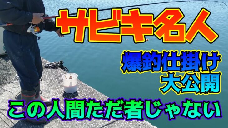 横に来た名人がいきなり爆釣だったので仕掛けを見せてもらった【サビキ釣り】