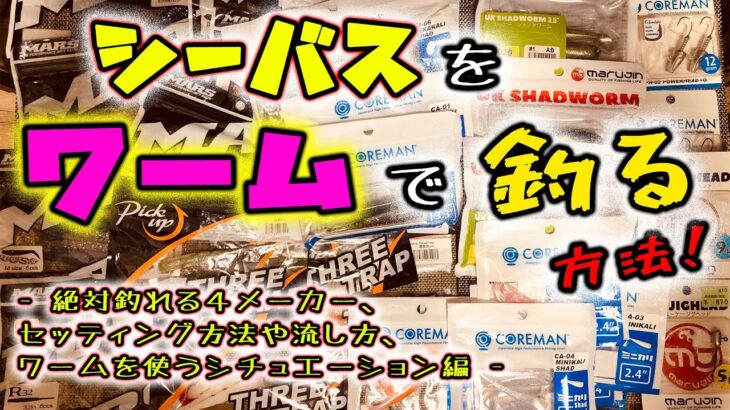 シーバスをワームで釣る方法！ – 絶対釣れる４メーカー、セッティング方法や流し方、ワームを使うシチュエーション等編 –