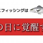 シーバス釣りの雨攻略は上級者の登竜門！