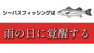 シーバス釣りの雨攻略は上級者の登竜門！