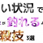 シーバス釣りにおいて、流れが無い時(緩い時)の攻略法について語りました！