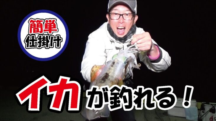 簡単仕掛けでイカが釣れる！