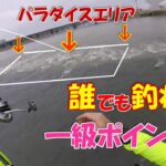 シーバスがこんなに簡単に釣れる一級シーバスポイント★