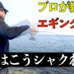 【エギング】プロのシャクリ方を紹介します（エンドタップジャーク）[Engsub]How to move the rod for squid fishing (Eging)