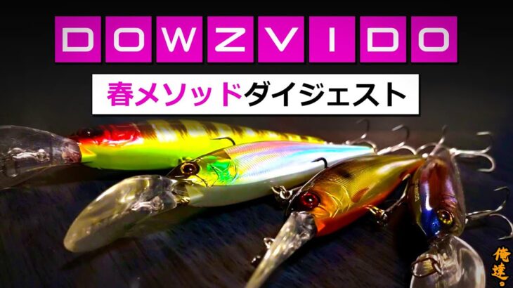 【春のバス釣り】ダウズビドーはこうやって使うと５倍釣れる！