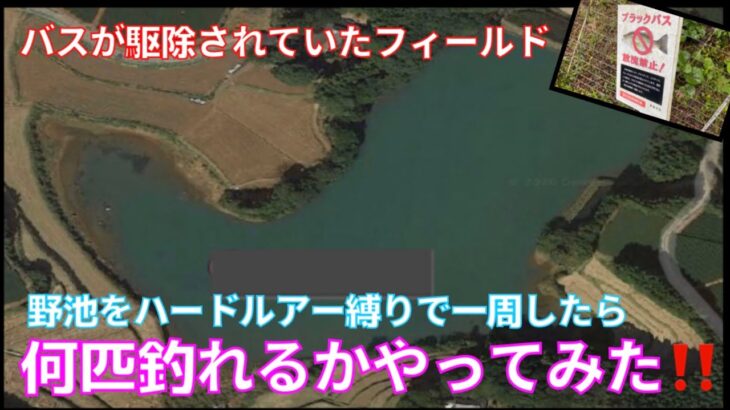 ブラックバスを駆除していた野池をハードルアー縛りで一周したら何匹のバスが釣れるのかやってみた。【外来種駆除】【マキモノ縛り】