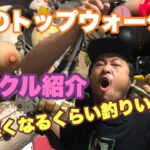 【バス釣り】トップウォータータックル紹介