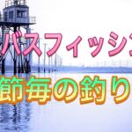 【シーバス初心者向け講座】季節毎の釣り方と視聴者皆様の地域のシーズナルパターンの見つけ方を考えてみました！