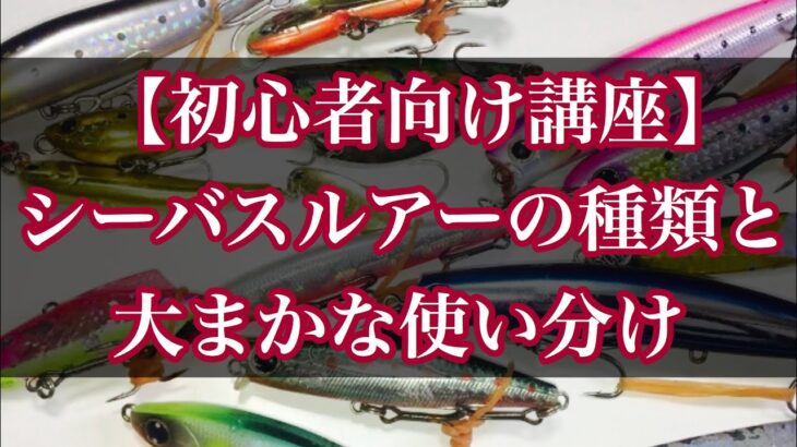 【シーバス釣り初心者向け講座】シーバスルアーの種類と使い分け！　使いやすく釣れるルアーもまとめて紹介！