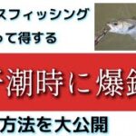 シーバス釣りの干潮時に意識すべき事と行動すべき事！