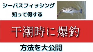 シーバス釣りの干潮時に意識すべき事と行動すべき事！