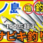 【江ノ島堤防】足元サビキ釣りで100匹超えの爆釣！