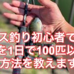 【超簡単】バス釣り初心者でも魚を1日で100匹釣る方法【誰でも可能】