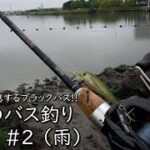 【油ヶ淵 バス釣り #2】海水に生息するブラックバスを狙う