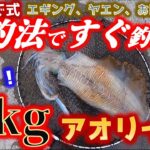 仕掛けて2分！3kg超の巨大アオリイカがすぐに食ってきた！だもんで式釣法はエギングより釣れてヤエン苦手でもOK！【26話】